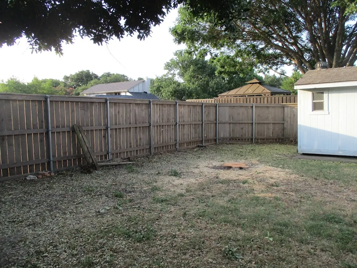 Cleared yard after professional tree removal in Yarmouth Port